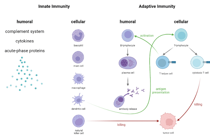 immune strategies