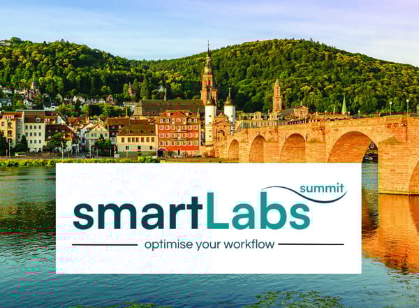 Heidelberg_castle_river_bridge_1174_CMY_001