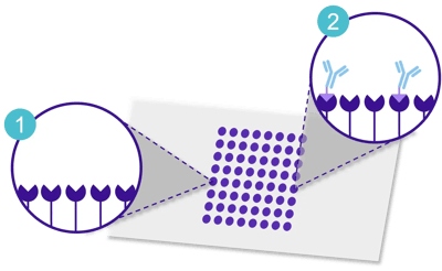 Click_chemistry_chip