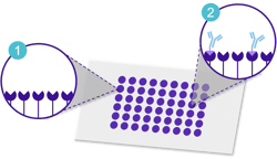 Click_chemistry_chips
