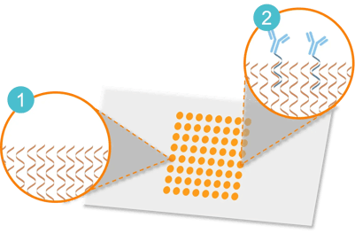 DNA_immobilization_chip
