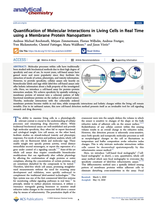 Quantification of Molecular Interactions in Living Cells in Real Time using a Membrane Protein Nanopattern