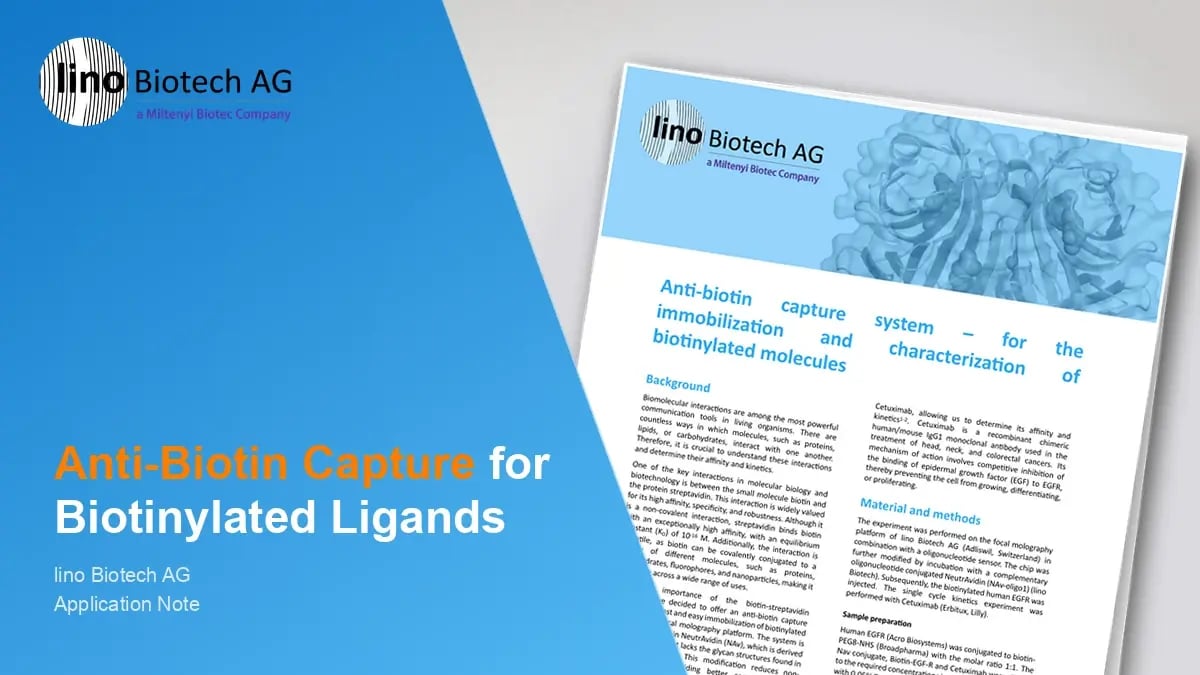 Anti-biotin capture system – fast and easy solution for the immobilization and characterization of your biotinylated ligands
