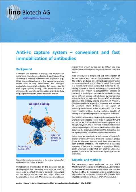 Anti-Fc capture system – convenient and fast immobilization of antibodies