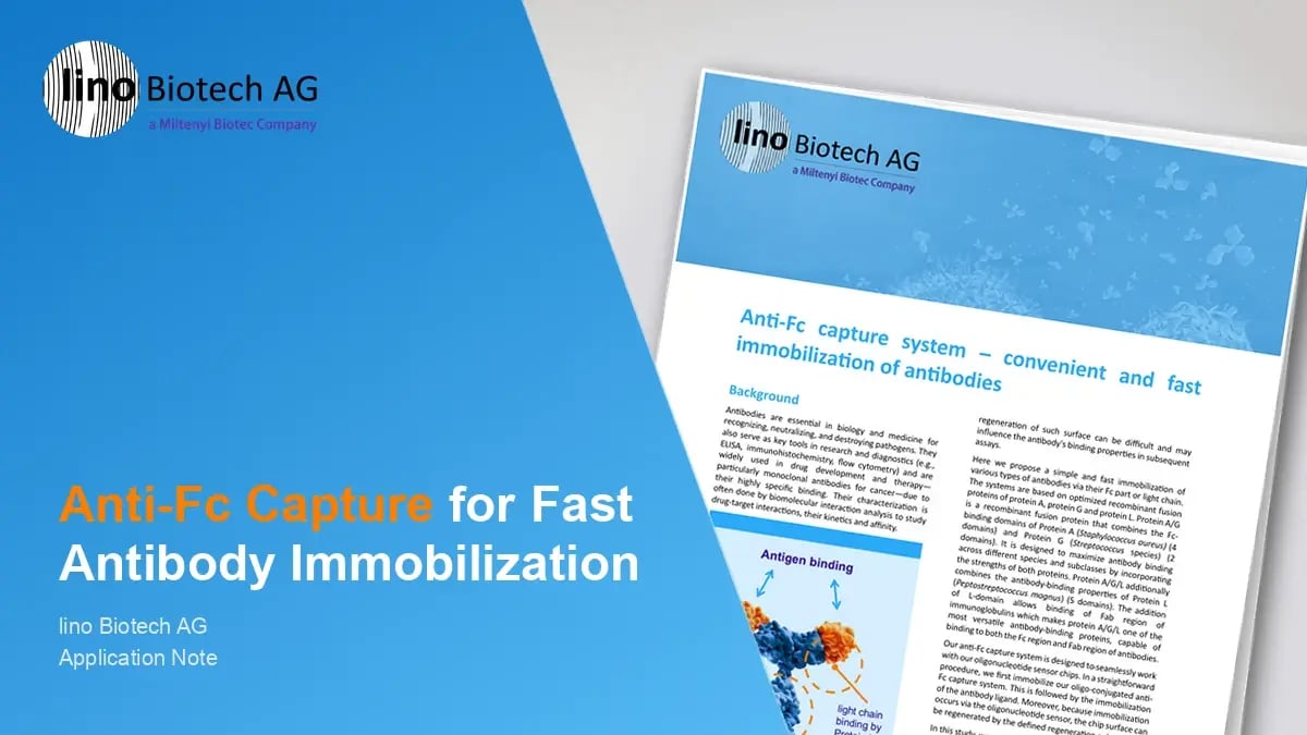 Anti-Fc capture system – convenient and fast immobilization of antibodies