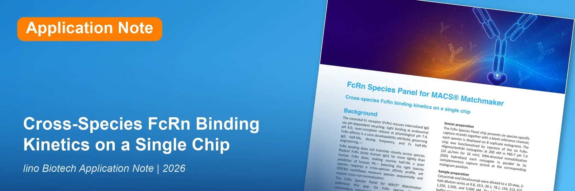 FcRn Species Panel application note, cross-species FcRn binding kinetics on a single focal molography chip