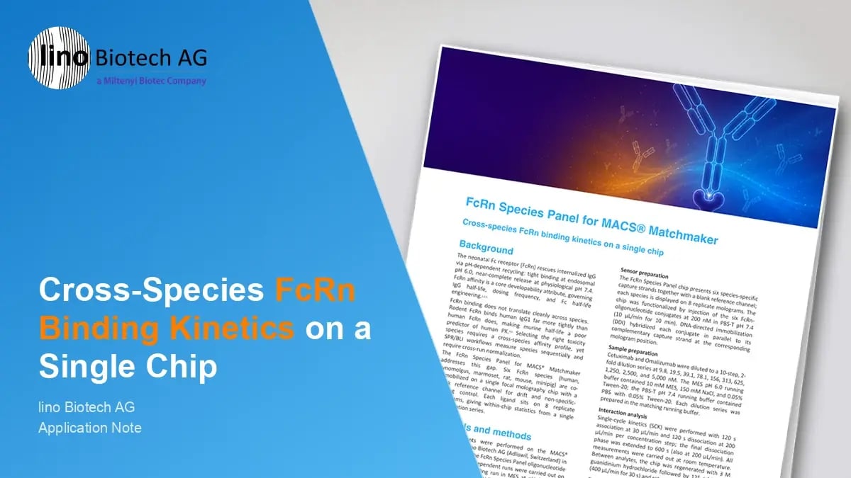 FcRn Species Panel: cross-species binding kinetics on a single chip
