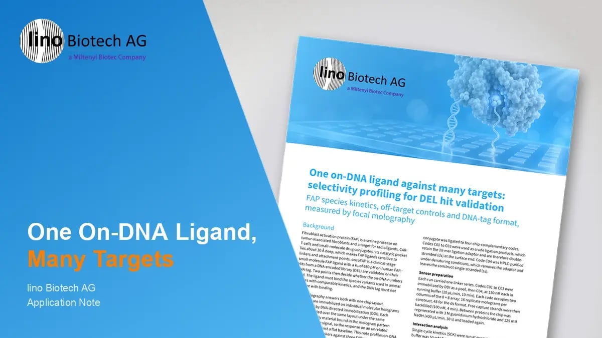One on-DNA ligand against many targets: selectivity profiling for DEL hit validation