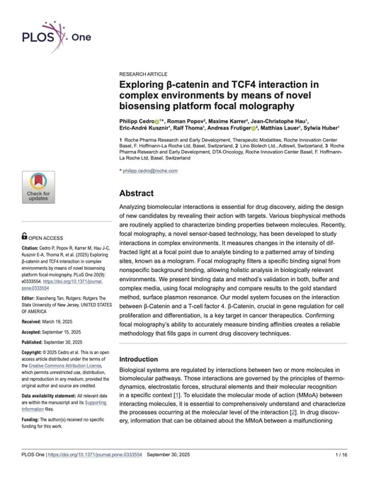 Exploring beta-catenin and TCF4 interaction in complex environments by means of novel biosensing platform focal molography