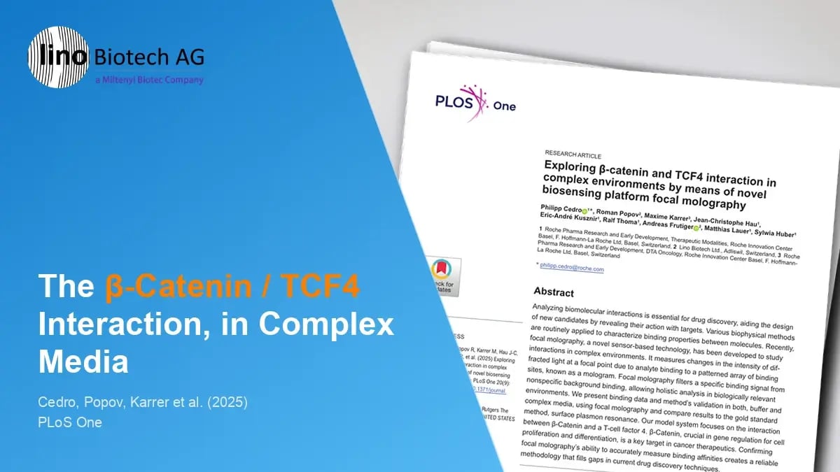 Exploring beta-catenin and TCF4 interaction in complex environments by means of novel biosensing platform focal molography