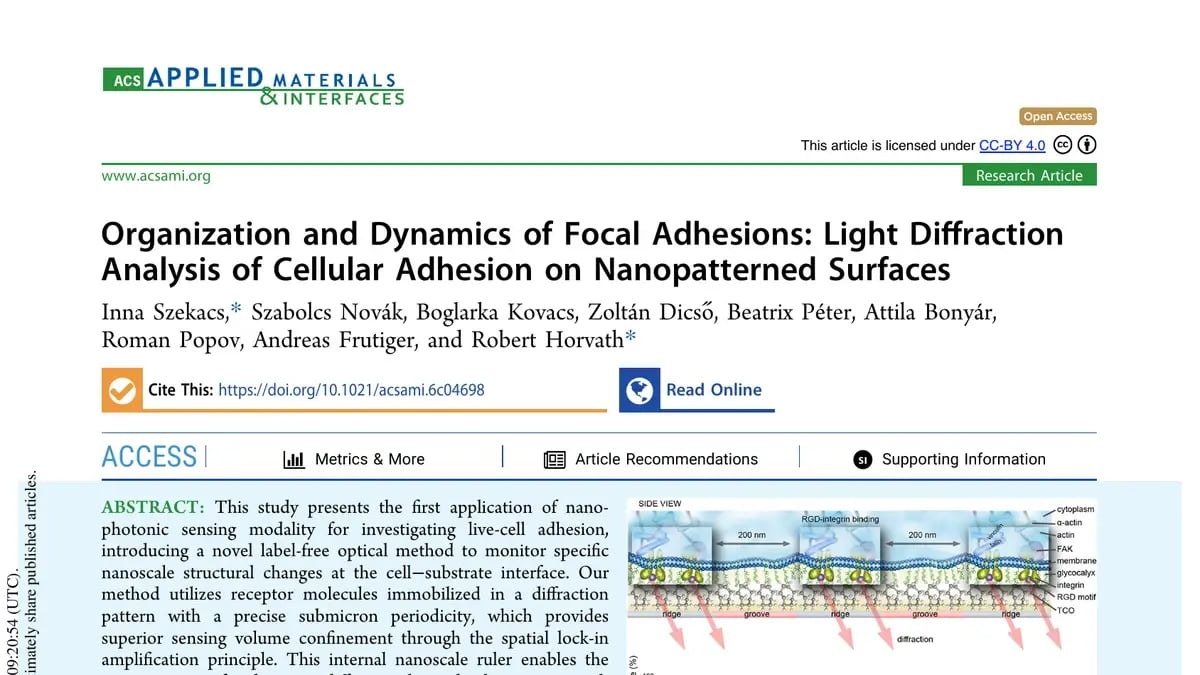 Organization and Dynamics of Focal Adhesions: Light Diffraction Analysis of Cellular Adhesion on Nanopatterned Surfaces
