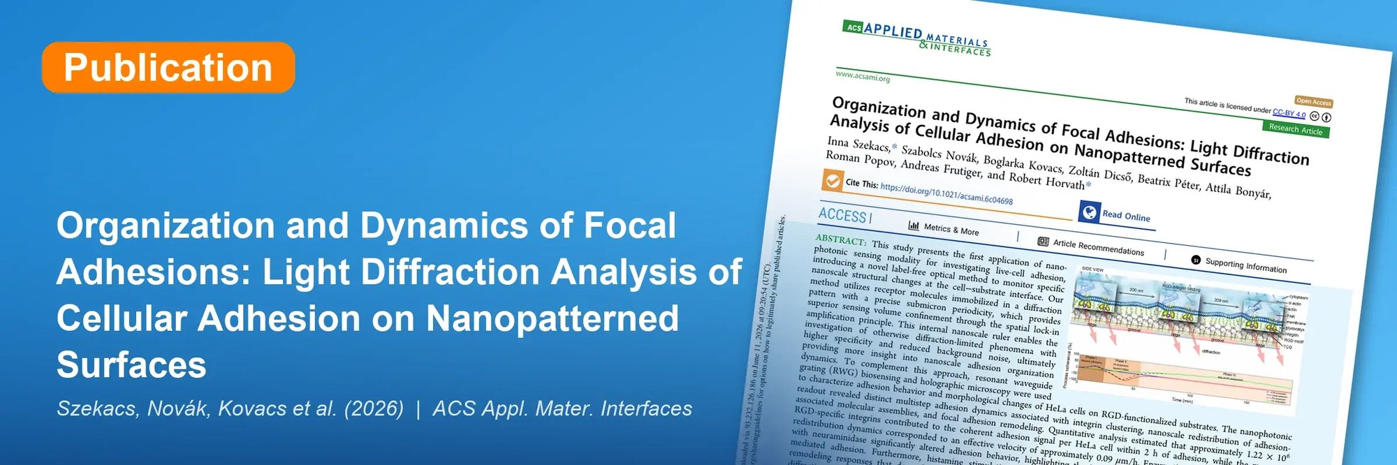 2026 Szekacs et al. - Focal Adhesions on Nanopatterned Surfaces - Focal Molography 2026 Szekacs et al. - Focal Adhesions on Nanopatterned Surfaces - Focal Molography