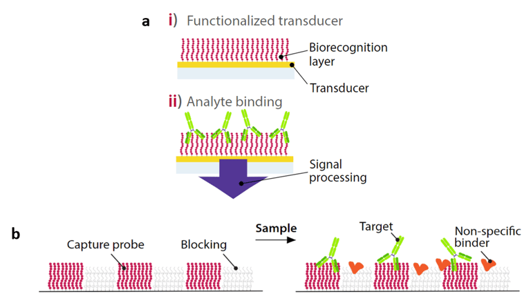 diffractometric