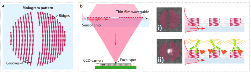 molography_overview