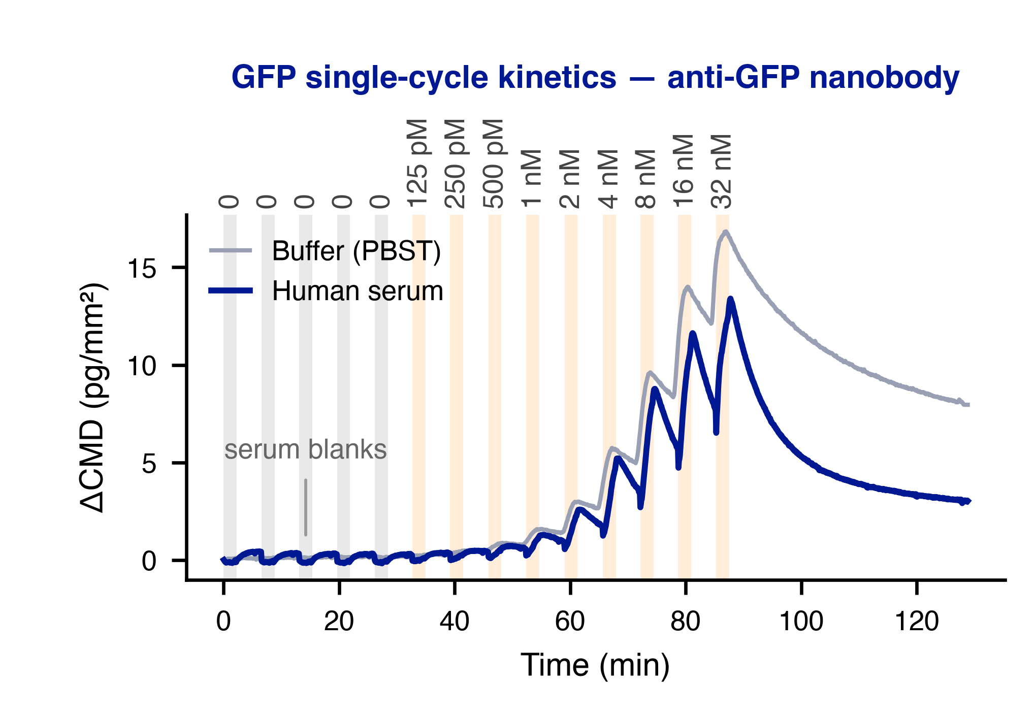 GFP single-cycle kinetics in human serum and PBST buffer