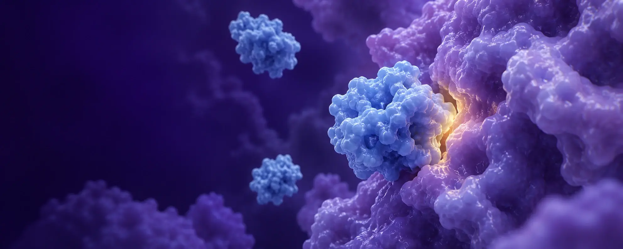 Conceptual small blue protein binder contacting a larger lavender target protein