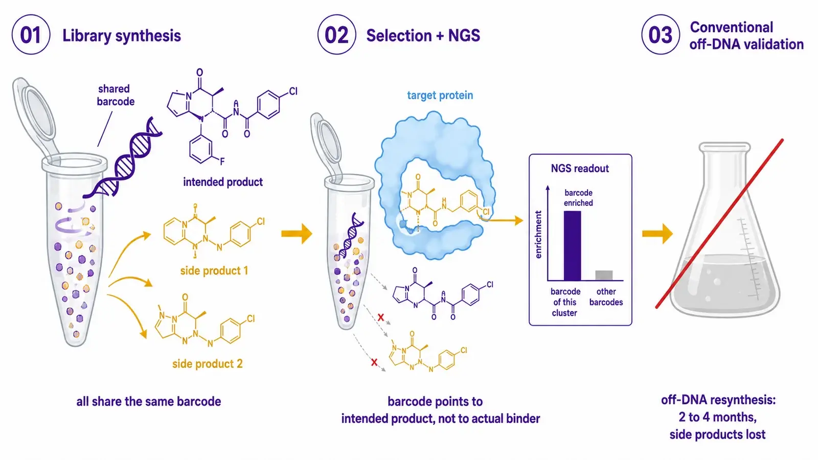 DEL selection: from library pool to enriched barcodes