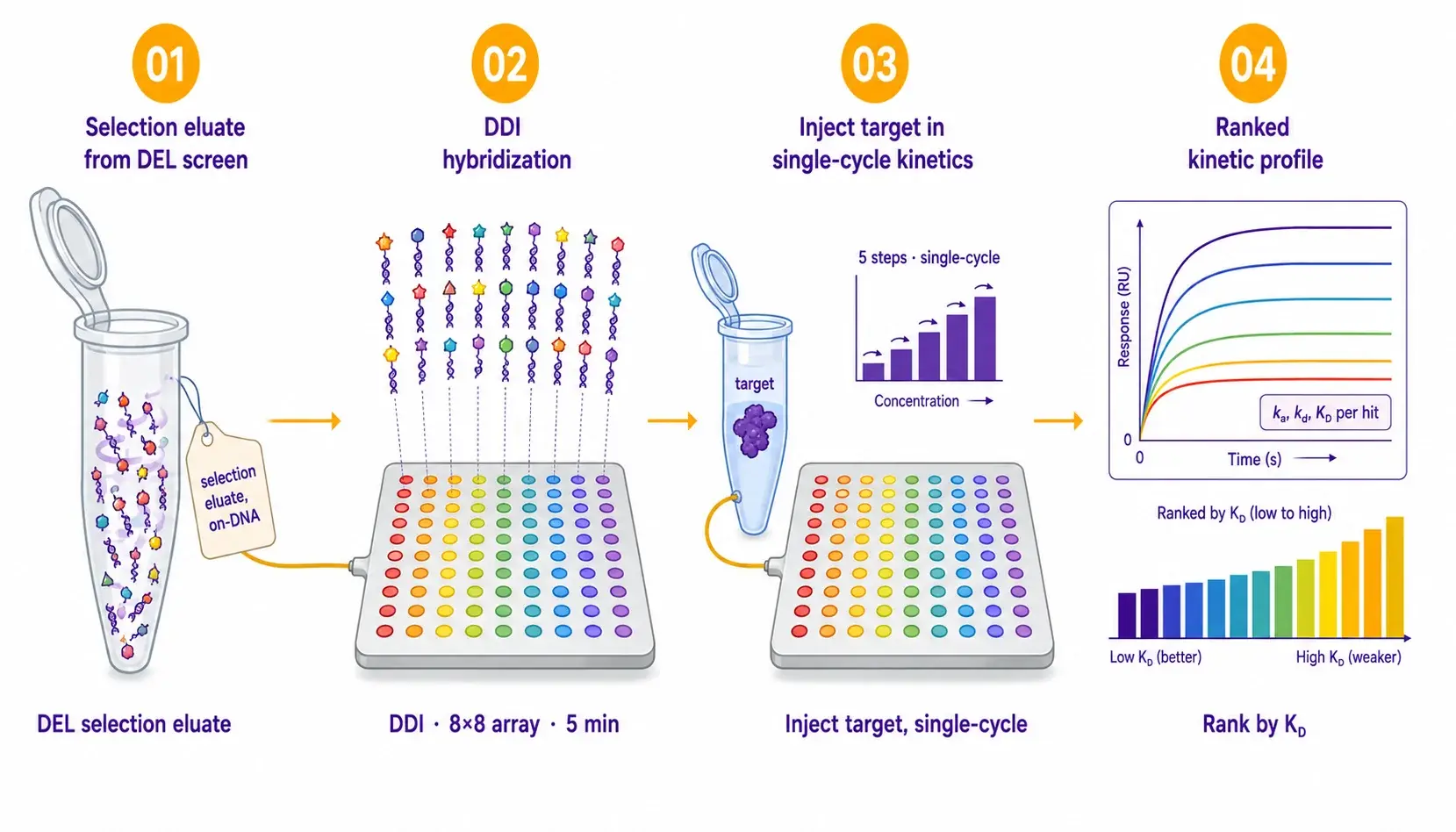 From NGS readout to validated kinetic profile.