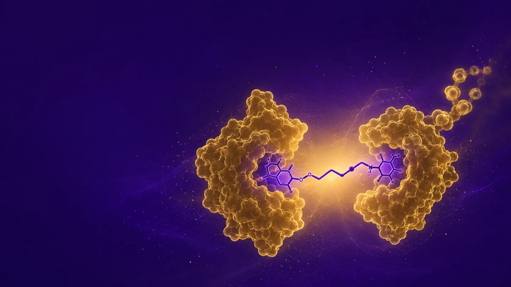 PROTAC and Molecular Glues