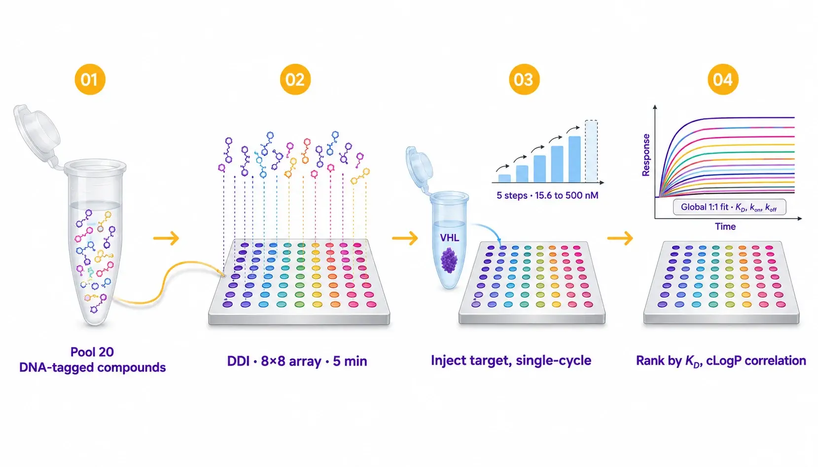 From DNA-tagged compound library to ranked SAR.