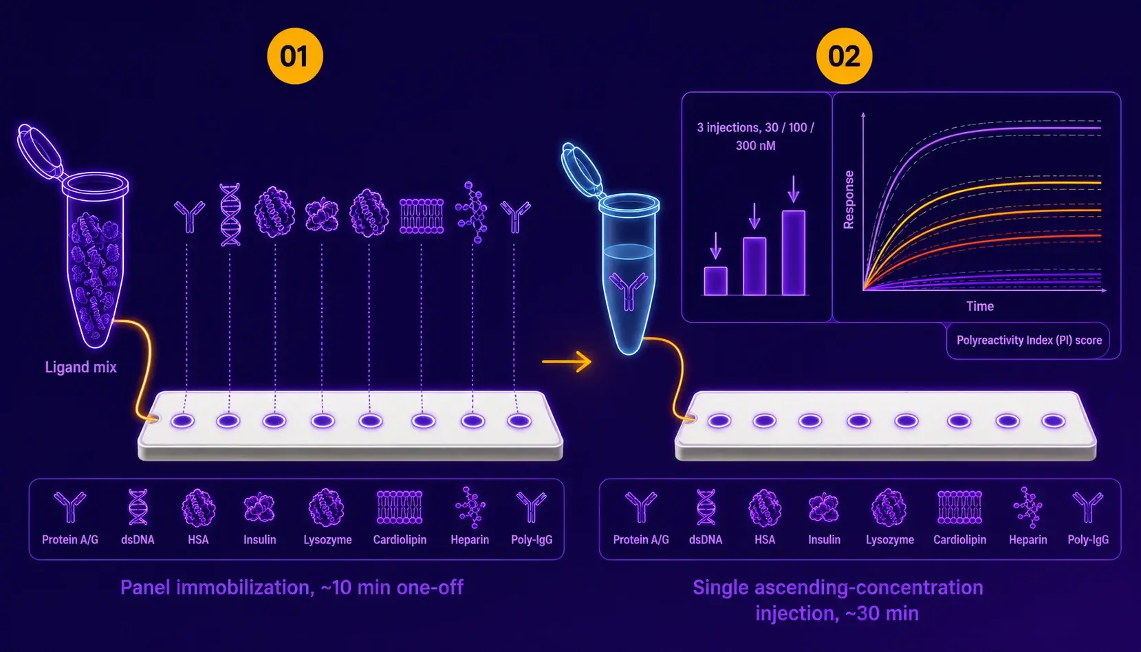One injection. All axes. Approximately 30 minutes.