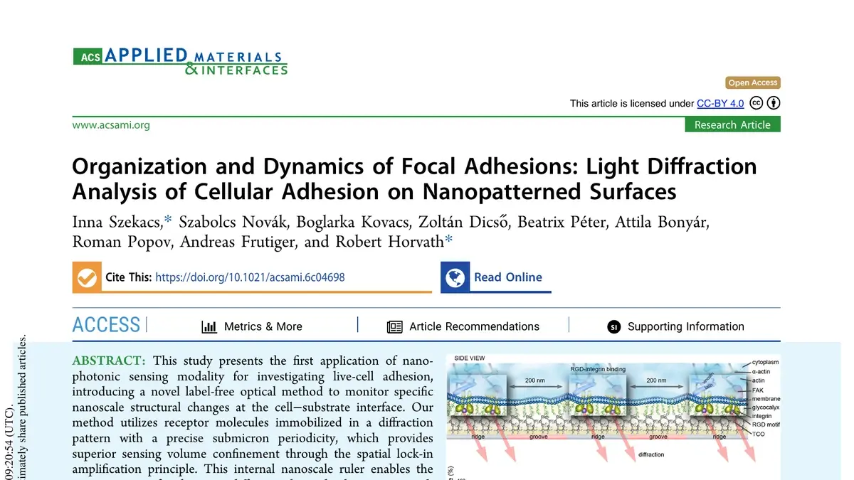 2026 Szekacs et al. Focal Adhesions on Nanopatterned Surfaces
