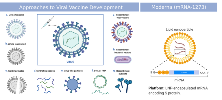 Overview of Vaccines Technologies